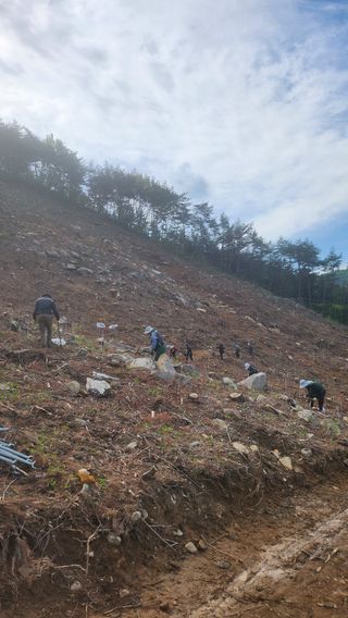 조동식님의 기타작물 · 영농일지 작성글 사진