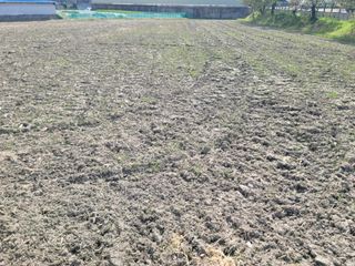 하태훈님의 기타작물 · 영농일지 작성글 사진