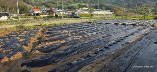 산골아찌님의 작성글 사진