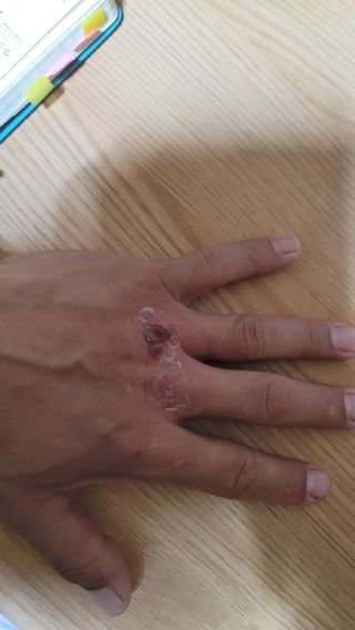 서초농원님의 기타작물 · 영농일지 작성글 사진