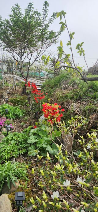 김순섭님의 기타작물 · 영농일지 작성글 사진