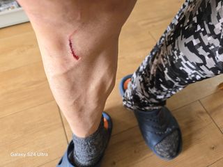 소병찬님의 상추 · 영농일지 작성글 사진