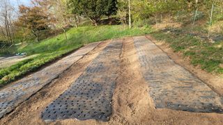 서초농원님의 기타작물 · 영농일지 작성글 사진