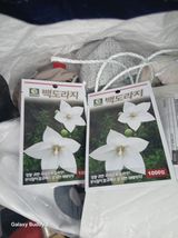 팜모닝 기타작물·영농일지 게시글 이미지