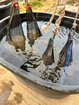 팜모닝 벼·영농일지 게시글 이미지