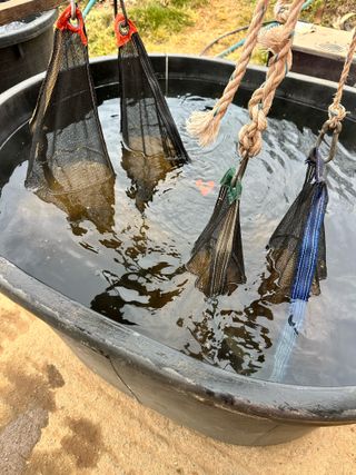 참깨6665님의 벼 · 영농일지 작성글 사진