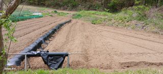 이형근님의 고구마 · 영농일지 작성글 사진