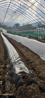 ♡청심전유삼♡님의 작성글 사진