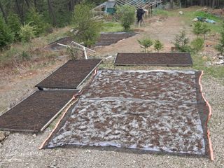 서인덕님의 기타작물 · 영농일지 작성글 사진