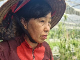 늘햇살팜 님의 기타작물 · 영농일지 작성글 사진