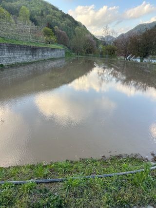 이익수님의 벼 · 영농일지 작성글 사진