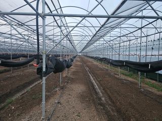 스카이마린님의 기타작물 · 영농일지 작성글 사진