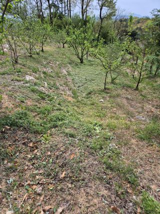 호랑이별님의 기타작물 · 영농일지 작성글 사진