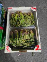 플러스밸류님의 작성글 사진