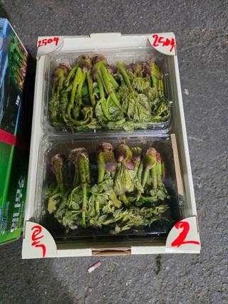 플러스밸류님의 두릅 · 영농일지 작성글 사진