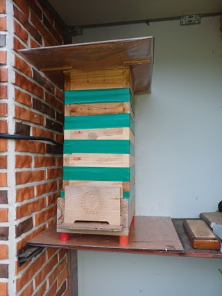 최정윤님의 기타작물 · 영농일지 작성글 사진