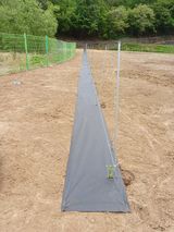 최정윤님의 작성글 사진