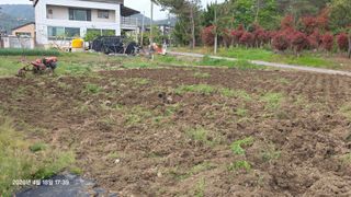 박용열조물주님 님의 기타작물 · 영농일지 작성글 사진