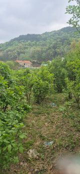 매실21434님의 작성글 사진