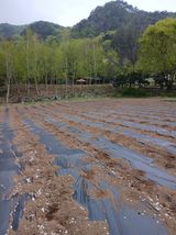 김성님의 작성글 사진