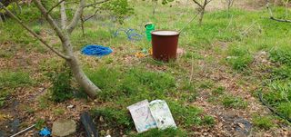 반성식님의 작성글 사진