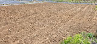 고구마15091님의 작성글 사진