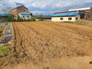 이무하님의 옥수수 · 영농일지 작성글 사진