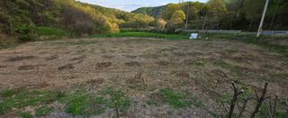 강호지인님의 작성글 사진