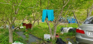 반성식님의 기타작물 · 영농일지 작성글 사진