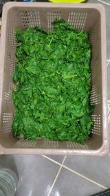 서초농원님의 작성글 사진