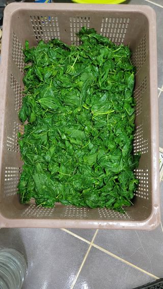 서초농원님의 기타작물 · 영농일지 작성글 사진