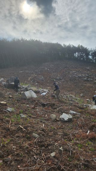 조동식님의 기타작물 · 영농일지 작성글 사진