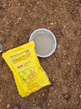 김기철님의 작성글 사진