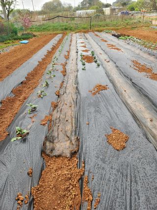 벙개도리님의 작성글 사진