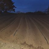 설장구님의 작성글 사진