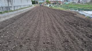 김동명님의 기타작물 · 영농일지 작성글 사진