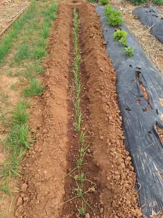 김용환님의 작성글 사진