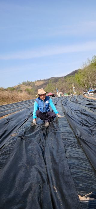 정연섭님의 기타작물 · 영농일지 작성글 사진