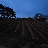 설장구님의 작성글 사진