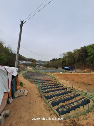 이수홍(이창희)님의 작성글 사진