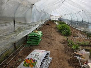 김윤회님의 호박 · 영농일지 작성글 사진