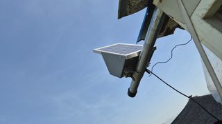 늘푸른 농장주님의 기타작물 · 영농일지 작성글 사진