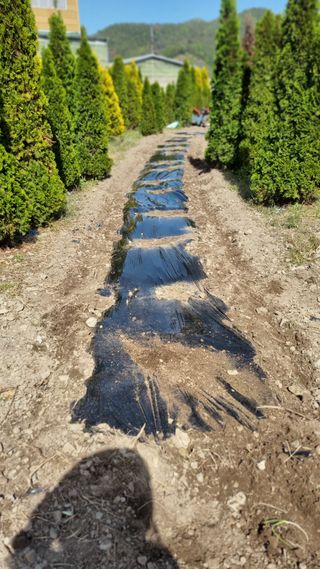 김동명님의 기타작물 · 영농일지 작성글 사진