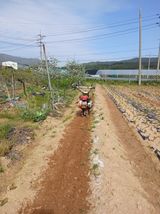 엄기덕님의 작성글 사진