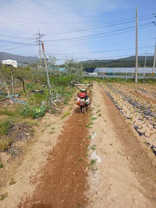 엄기덕님의 기타작물 · 영농일지 작성글 사진