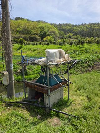 김성환님의 기타작물 · 영농일지 작성글 사진