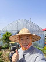 팜모닝 기타작물·영농일지 게시글 이미지