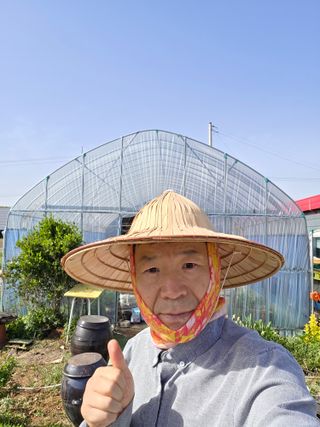 김성필님의 기타작물 · 영농일지 작성글 사진