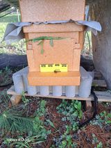 조연만님의 작성글 사진