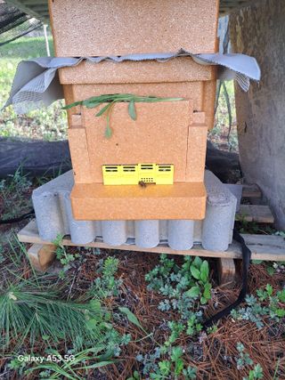 조연만님의 기타작물 · 영농일지 작성글 사진